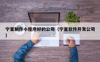 龙岩宁夏制作小程序好的公司（宁夏软件开发公司）