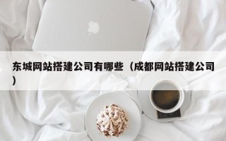龙岩东城网站搭建公司有哪些（成都网站搭建公司）
